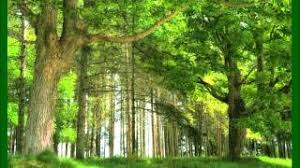 Yusman who is confined to the house by his father, dato' alwi meets marlia, their driver's daughter. Chords For Jamal Abdillah Kekasih Awal Dan Akhir With Lyrics