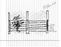 While an electric fence to discourage raccoons may not be the cheapest option, it might be worth the expense if your other attempts have been unsuccessful. Electric Fences For Controlling Raccoons And Possums General Fruit Growing Growing Fruit