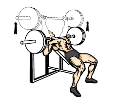 drawing of man doing bench press