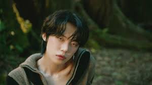 You know how some fans are like refusing to accept the possibility that  their favs had plastic surgery or any kind of work done and instead I'm  here hoping they actually did