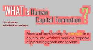 Human capital is the stock of habits, knowledge, social and personality attributes (including creativity) embodied in the ability to perform labour so as to produce economic value. Human Capital Formation