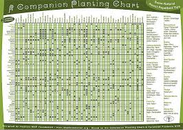 permaculture companion planting guide chart free pdf