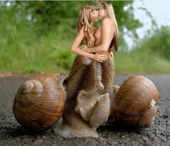 Snail Porn Rule Sorted By Position Luscioussexiezpix Web Porn