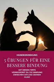 5 Alltagsubungen Fur Eine Bessere Beziehung Zu Deinem Hund In 2020 Hunde