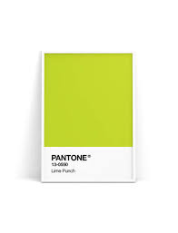 This Item Is Unavailable Etsy Lime Punch Pantone Green Pantone