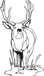 The best selection of royalty free realistic deer vector art, graphics and stock illustrations. Free Printable Deer Coloring Pages For Kids