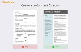 You can import it to your word processing software or simply print it. 14 Blank Cv Templates To Fill In Download In Pdf Word