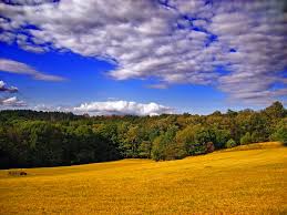 Try to leave the earth a better place than when you arrived! Edge Effects Wikipedia