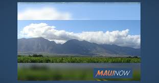 If you're lucky, you might. Three Day Relay For Life Of Maui Goes Virtual Maui Now