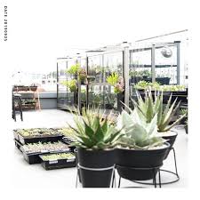 たおるはinstagramを利用しています 今日からガラスフレームに掛けてた遮光外した 気持ちのいい季節だな 自分は冬型なので 冬の方が好きだけど twurue第1温室 twurue第2温室 twurue栽培メモ plants