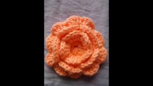 We did not find results for: Disenos Para Hacer Flores De Ganchillo Faciles