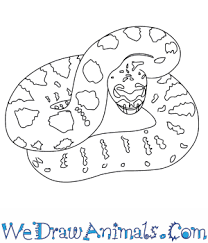 He thinks he lives here, since we see him frequently. How To Draw A Eastern Diamondback Rattlesnake