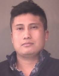 Olivia Ousley's Instagram, Twitter & Facebook