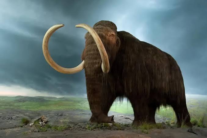These Are the Extinct Animals We Can, and Should, Resurrect