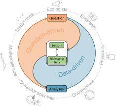This may not be possible with all motion sensors, so check with your security company before doing this. Optimizing The Use Of Biologgers For Movement Ecology Research Williams 2020 Journal Of Animal Ecology Wiley Online Library
