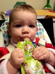 Earth's Best Pouches Are a Travel Must-Have