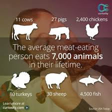 Jem Star On Twitter Why Vegan Vegetarian Facts How To Become Vegan