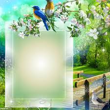Summer Day Photo Frame Design Framed Wallpaper Boarders And Frames