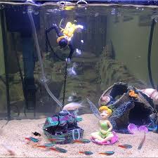 Aquariu Selber Dekorieren Wie Geht Es Aquarium Deko Deko Selber Machen Aquarium