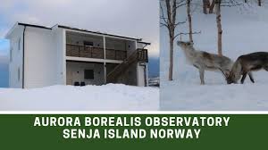 Aurora Borealis Observatory Senja Island Northern Norway The Resort Ep204 Youtube
