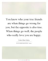 You Know Who Your True Friends Are When Things Go Wrong For You Picture Quotes
