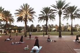 Check spelling or type a new query. Nola Vibe Yoga City Park Read Reviews And Book Classes On Classpass
