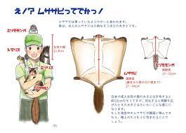pin by art dump on tips character japanese flying squirrel zelda characters