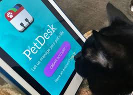 Our skilled veterinary team is ready to support your pet with compassionate care through every stage of life. Alpine Pet Hospital In Kelowna Bc Alpine Pet Hospital