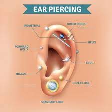 Top Different Types Of Ear Piercing Trendy Positions Picture Infographic Elements Naturalbackground P Ear Piercings Tragus Types Of Ear Piercings Ear Piercings