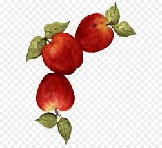Apfel Zeichnen Essen Apple Png Herunterladen 629 805 Kostenlos Transparent Apple Png Herunterladen