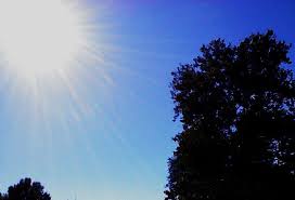 Darlene Hare Obituary (2013)