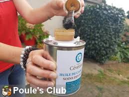 Gale Des Pattes Chez Les Poules Comment La Soigner