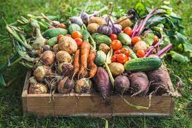We did not find results for: Benefits Of Growing Your Own Food Kellogg Garden Organics