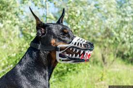 Werewolf Zombie Dogs Muzzle White Color Doberman And Other Etsy