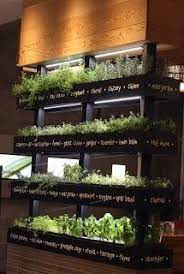 Grow Herbs Indoors This Winter Live Dan330 Vertical Herb Garden Indoor Herb Garden Herbs Indoors