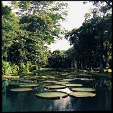 epingle sur aunomi le blog