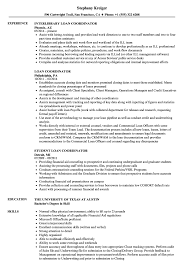 This financial coordinator job description template includes the list of most important financial coordinator duties and responsibilities. Loan Coordinator Resume Samples Velvet Jobs