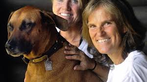 From Zambia To North Stonington: A Dog Bred To Hunt Lions Settles In