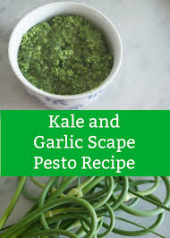 Easy Kale And Garlic Scape Pesto Recipe Recipe In 2020 Scape Pesto Recipe Garlic Scape Pesto Pesto Recipe