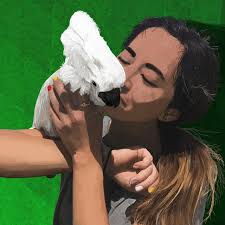 Finally finished my drawing of Maya and Sidney! Hope you like it! X :  r/mayahiga