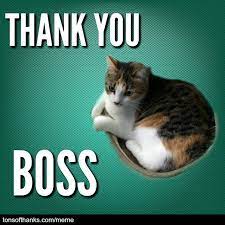 Pin On Thank You Memes