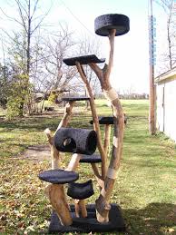 So if they especially love to nap on towels, why not use towels as the fabric on the diy cat tree with wine crate. Cats In Care Everything That You Ever Want To Know About Cats Cat Tree Diy Cat Tree Cat Towers