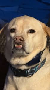 If you told me a year ago that my first year in Boise would be amazing… I  probably would have believed you.