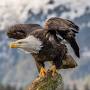 Profile Picture of Harold Ray Walker Obituary 2024 - Newcomer Dayton. (@newcomerdayton.com) on Google