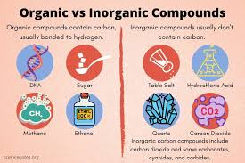 Solved 1. Would You Expect An Organic Compound To Be Soluble | Chegg.Com