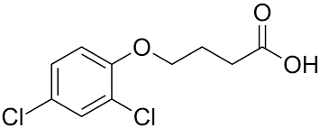 Buttersäure ist der trivialname der butansäure, einer carbonsäure und gleichzeitig der einfachsten fettsäure. 4 2 4 Dichlorphenoxy Buttersaure Wikipedia