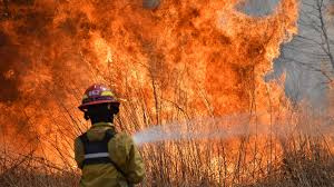 Jun 20, 2021 · 12 incendios forestales y 25 hectáreas quemadas en una semana es el resumen de las actuaciones del plan de lucha contra incendios forestales de extremadura (infoex), cuyos efectivos han atendido. Incendios En Cordoba Infobae