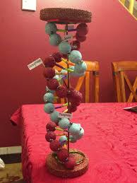 12ceba5137fc3f0b2986e7cb5b3ae626 Jpg 736 981 Biology Projects Dna Model Project Dna Double Helix Model