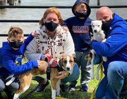 All adoptions are done by appointment with families with approved applications. Virtual Adoptions Are Literal Lifesavers For Rescue Dogs During A Pandemic Engadget