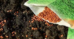 Growing a productive fall vegetable garden requires thoughtful planning and good cultural practices. 10 Quick Growing Vegetables You Can Still Plant In August From Seed Off The Grid News